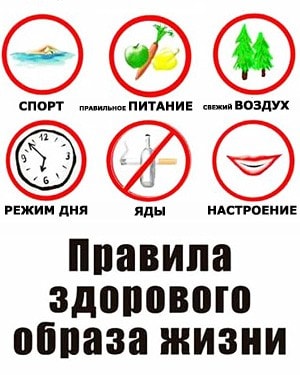 правила зож