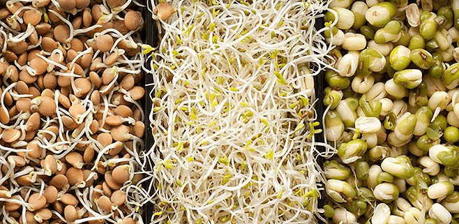 проросщеные зерна в постном меню