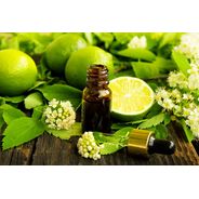 Фото 1236: Эфирное масло Бергамота 10 мл