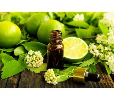 Фото 3227: Эфирное масло Бергамота 10 мл