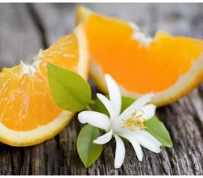 Фото 9392: Эфирное масло Нероли 5 мл